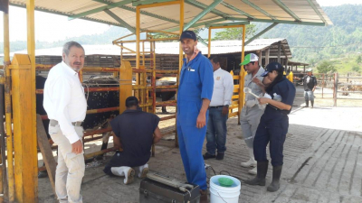 Práctica zootécnica sobre evaluación seminal de bovinos criollos